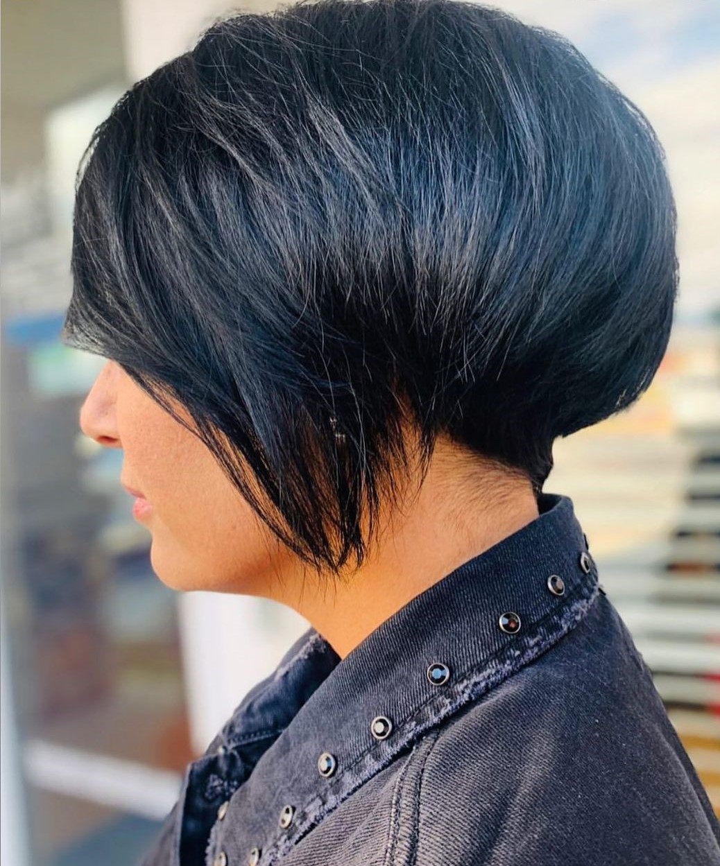 Blue Black Wispy Pixie Bob